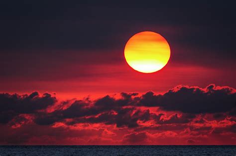 Красное солнце
 2024.04.24 10:06